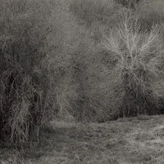 K. Leimer Atrophies For Piano (LP)
