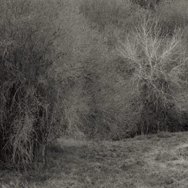 K. Leimer Atrophies For Piano (LP) 