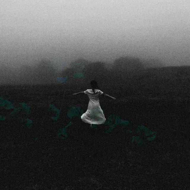 Deerlady Deerlady (LP) 
