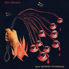 Dry Socket Self Defense Techniques - LTD (LP)