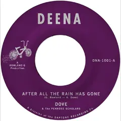 Dove After All The Rain Has Gone (7")