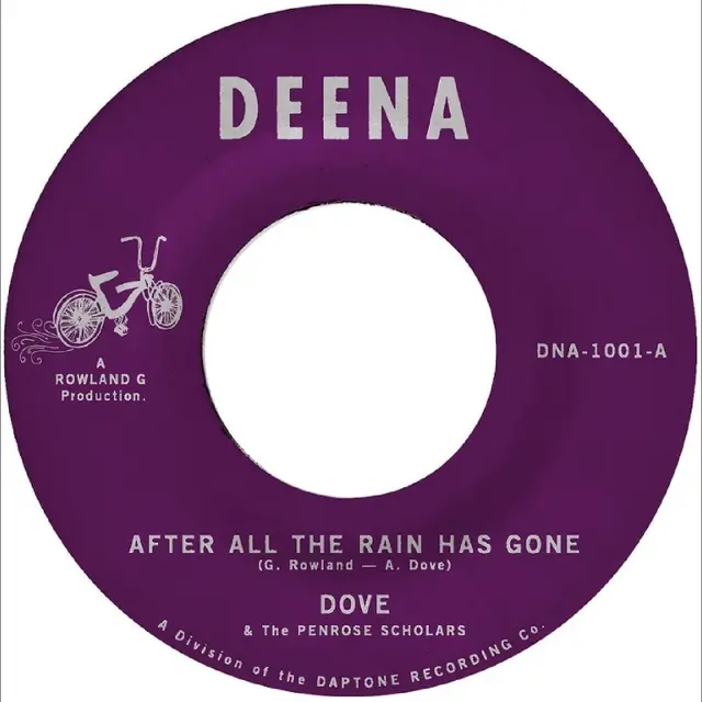 Dove After All The Rain Has Gone (7") 