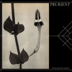 Prurient The Black Post Society (CD)