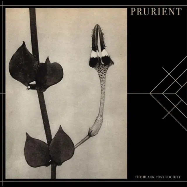 Prurient The Black Post Society (CD) 