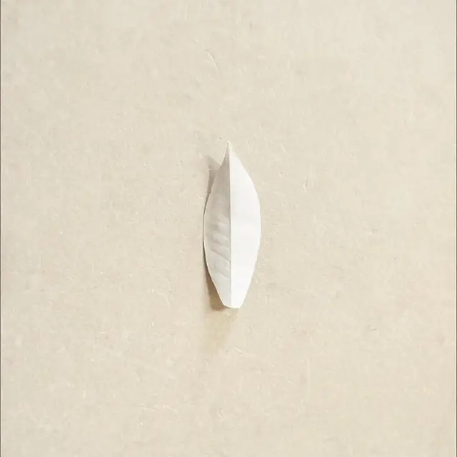 Sylvain Chauveau The Complexity Of The Simple (LP) 