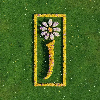 James Nothing But Love: The Definitive… (3CD)