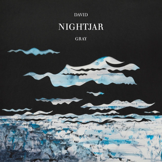 David Gray Nightjar (2LP) 