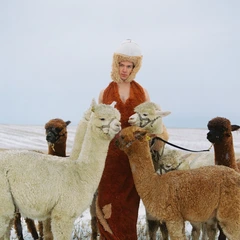 Lasse Lokøy &amp; The Roommates &amp; The Roommates (LP)