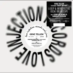 Gene Tellem Phantom Vibrations (12")