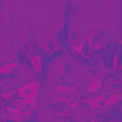 Bardo Pond, Acid Mothers Temple… Acid Guru Pond (2LP)