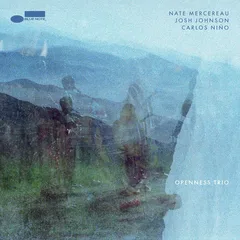 Nate Mercereau, Josh Johnson… Openness Trio (LP)