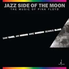 Sam Yahel, Ari Hoenig, Mike Moreno… Jazz Side Of The Moon (LP)