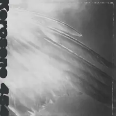 Kerosene 454 Came By To Kill Me - LTD (LP)