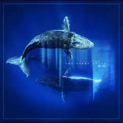 The Naked Souls Reverb From The Depths (2LP)