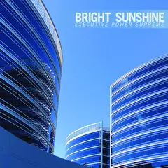 Bright Sunshine Executive Power Supreme (LP)