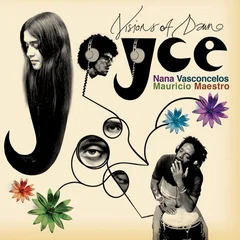 Joyce Moreno Visions Of Dawn (LP)