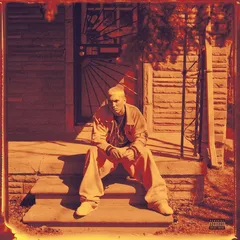 Eminem The Marshall Mathers LP - 25th… (2LP)