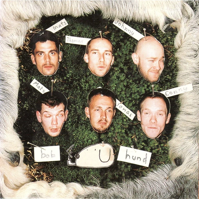 Bob Hund Bob Hund (LP) 