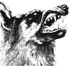Crippled Black Phoenix I, Vigilante (LP)