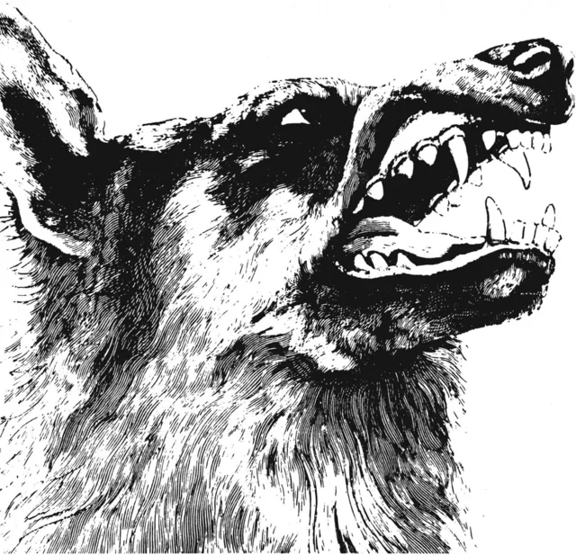 Crippled Black Phoenix I, Vigilante (LP) 