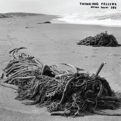 Thinking Fellers Union Local 282 Tangle (LP)