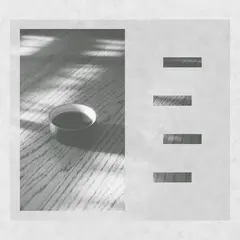 Leon Todd Johnson Wa Kei Sei Jaku (CD)