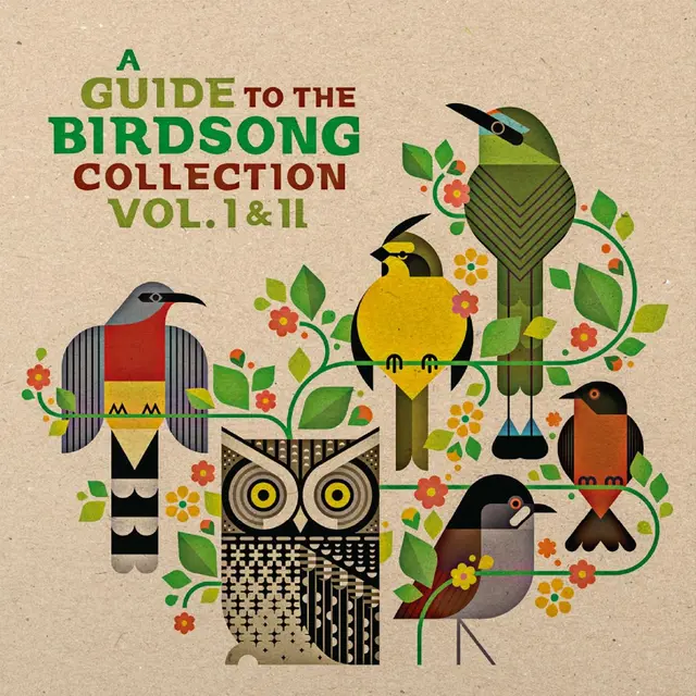 Diverse Artister A Guide To The Birdsong Collection…(2LP) 