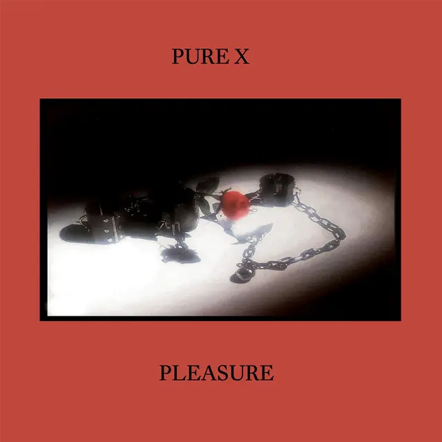 Pure X Pleasure - LTD (LP) 