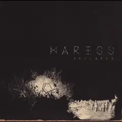 Haress Skylarks (LP)