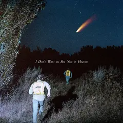 The Callous Daoboys I Don't Want To See You In… - LTD (2LP)