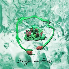 Wombo Danger In Fives - LTD (LP)