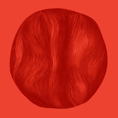 Eir Frydenlundgata (LP)