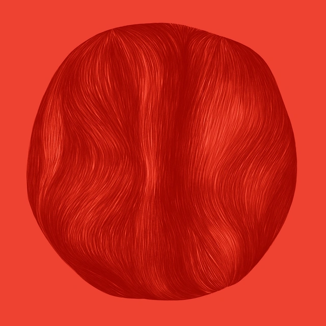 Eir Frydenlundgata (LP) 