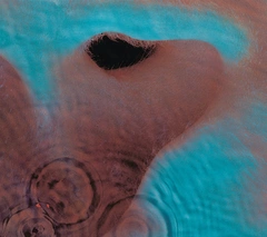 Pink Floyd Meddle (LP)