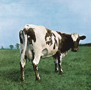 Pink Floyd Atom Heart Mother (LP)