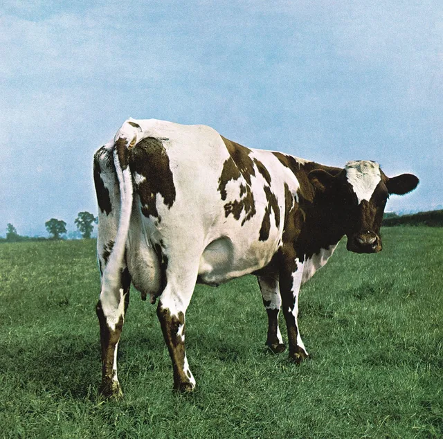 Pink Floyd Atom Heart Mother (LP) 