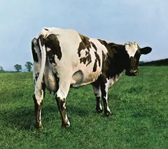 Pink Floyd Atom Heart Mother (CD)