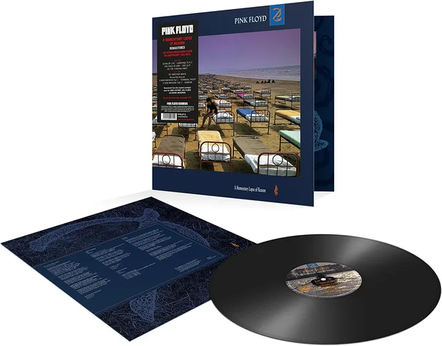 Pink Floyd A Momentary Lapse Of Reason (LP) 