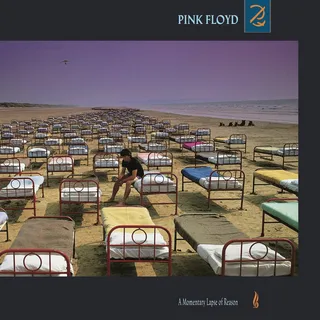 Pink Floyd A Momentary Lapse Of Reason (LP)
