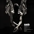 Suede Antidepressants (LP)
