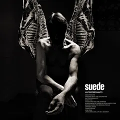 Suede Antidepressants (LP)