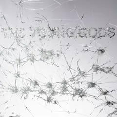 The Young Gods Appear Disappear (LP)