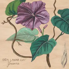 Ben Lamar Gay Yowzers - LTD (LP)