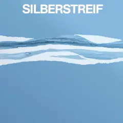 Silberstreif Ich Suche Dein Gesicht (12")