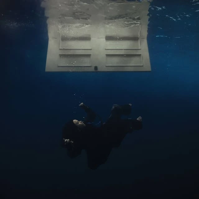 Billie Eilish Hit Me Hard And Soft: 1 Year… - LTD (LP) 