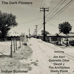 The Dark Flowers Indian Summer - LTD (LP)