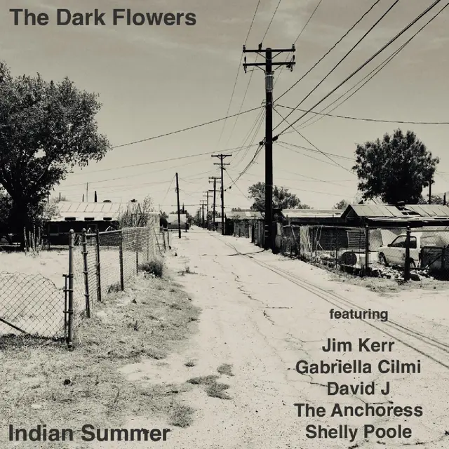 The Dark Flowers Indian Summer - LTD (LP) 