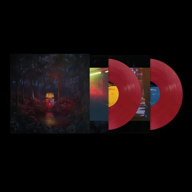 Lord Huron The Cosmic Selector Vol. 1 (2LP) 