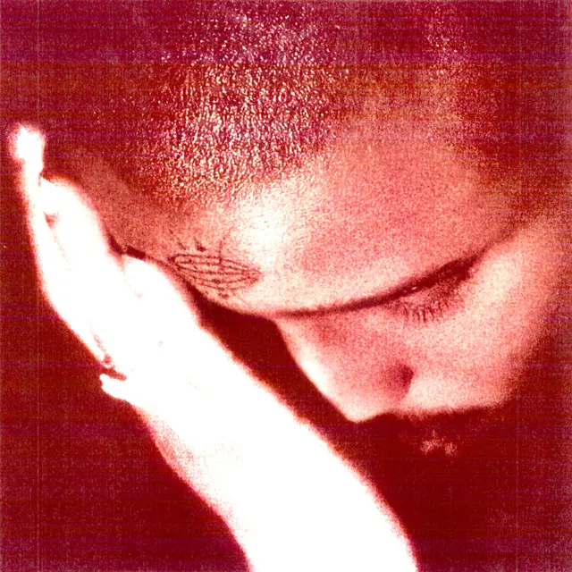 Nourished By Time The Passionate Ones - LTD (LP) 