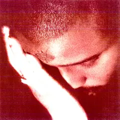 Nourished By Time The Passionate Ones (LP)